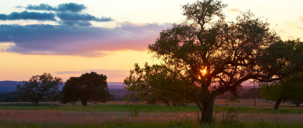 purple sage ranch landscape at sunset