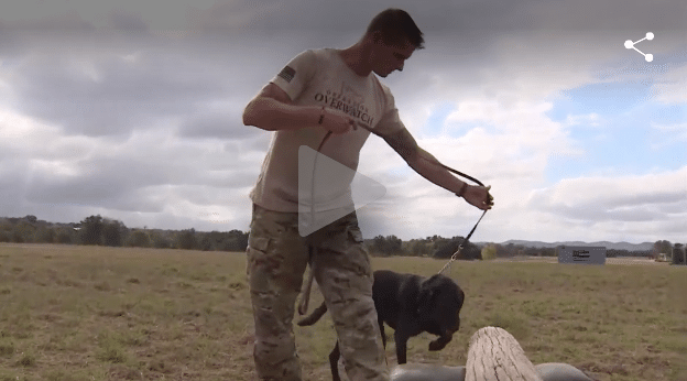 warrior working with service dog