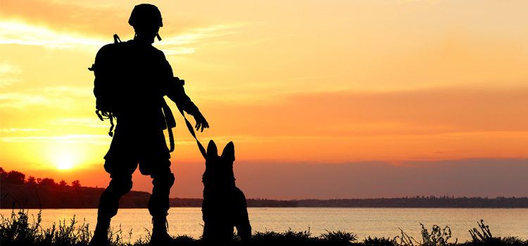 soldier and service dog