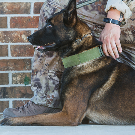 k9 service dog - - Warriors Heart is an addiction and PTSD treatment center for active military, veterans, and first responders. Contact us today at (844) 448-2567.