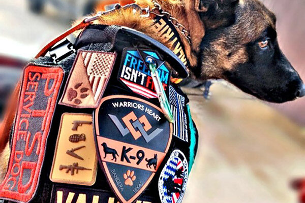 K9 Valkyrie - Warriors Heart - Addiction and PTSD