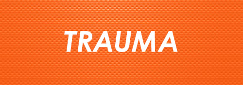 Warriors Heart - Addiction and PTSD Treatment -TRAUMA