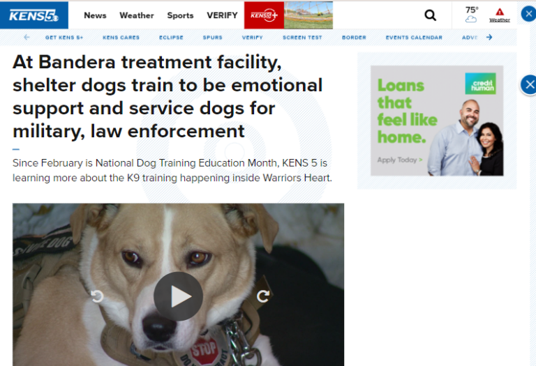 At Bandera treatment facility, shelter dogs train to be emotional support and service dogs for military, law enforcement