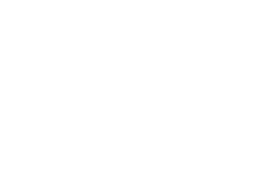 logo for sons of liberty