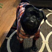 Heather Reingruber warrior