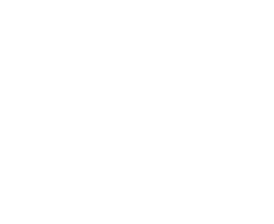 logo green beret foundation white