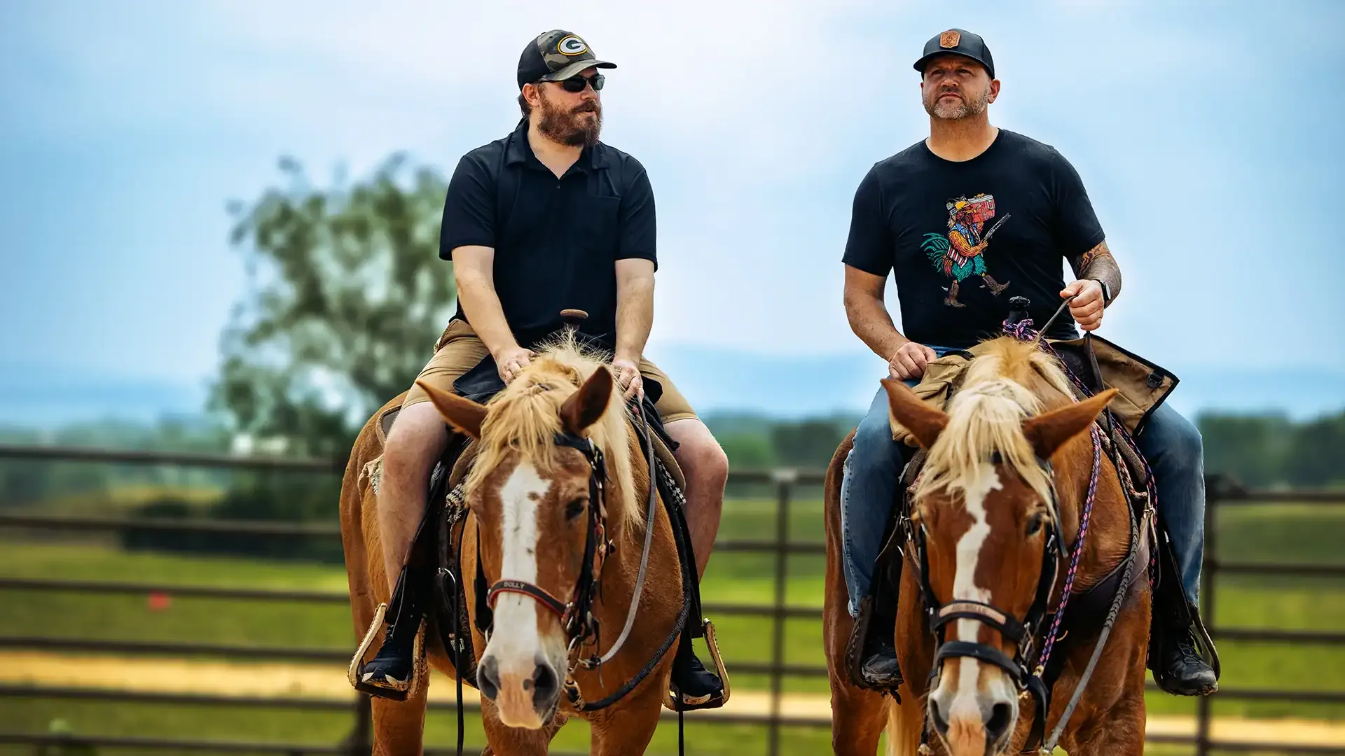 Equine Program