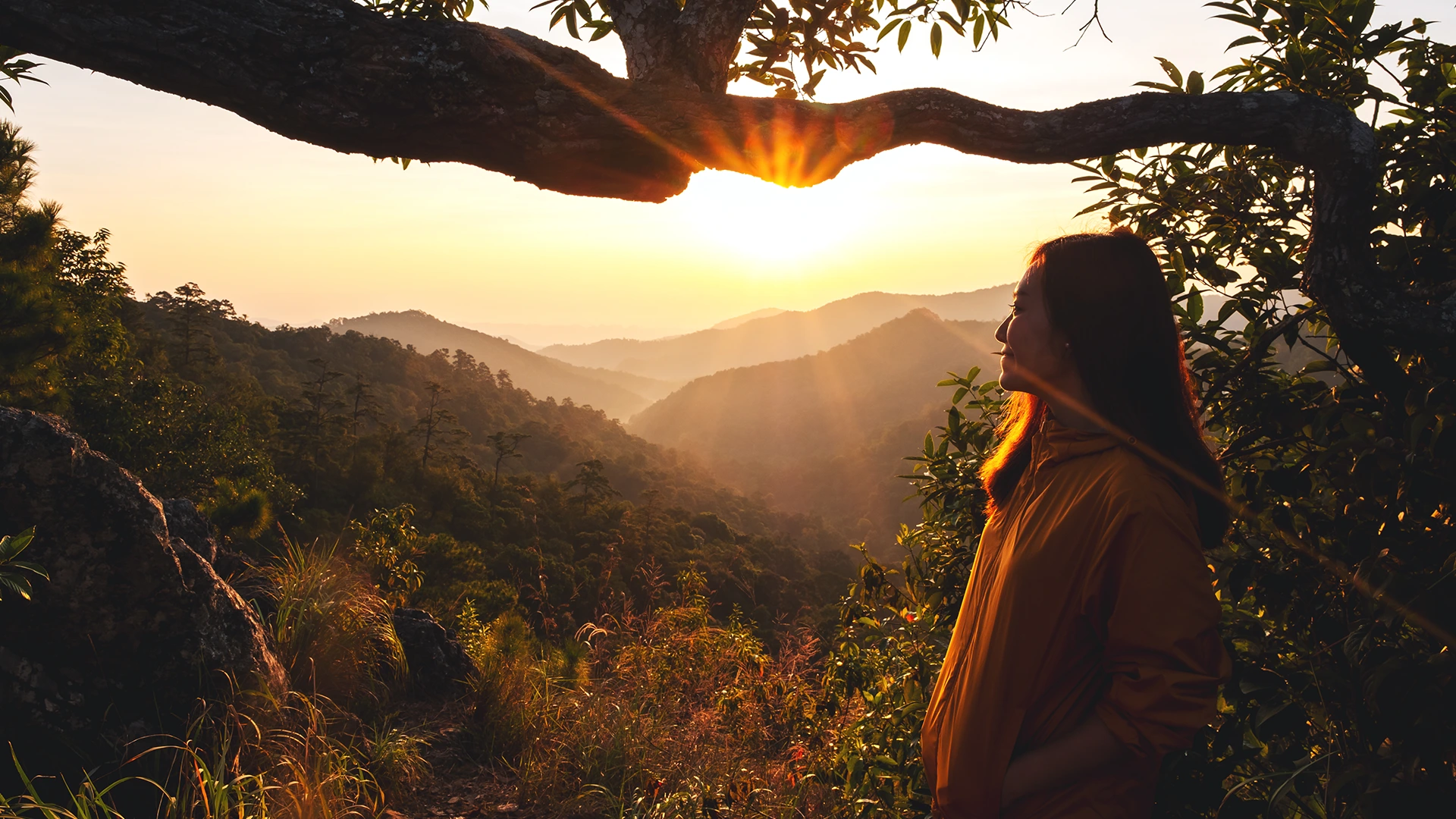 Nature Hikes