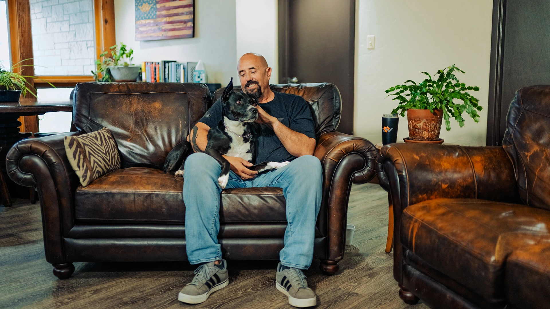 k9 therapy detox 01