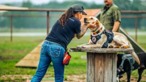 thumbnail feature k9 therapy in action spool