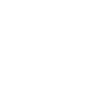 logo gary sinese foundation white