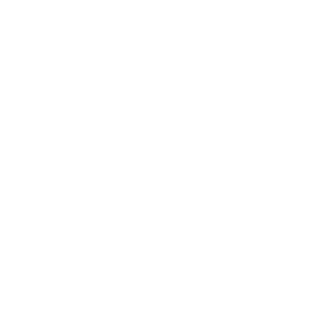 logo green beret foundation white