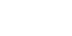 logo impact white