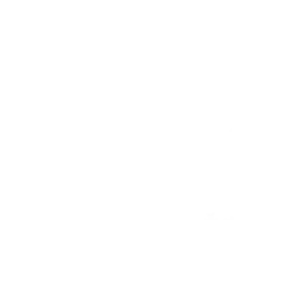 logo sons of liberty